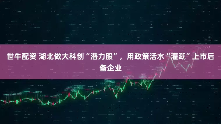 世牛配资 湖北做大科创“潜力股”，用政策活水“灌溉”上市后备企业