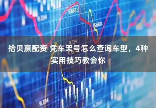 拾贝赢配资 凭车架号怎么查询车型，4种实用技巧教会你